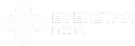 Everstar media